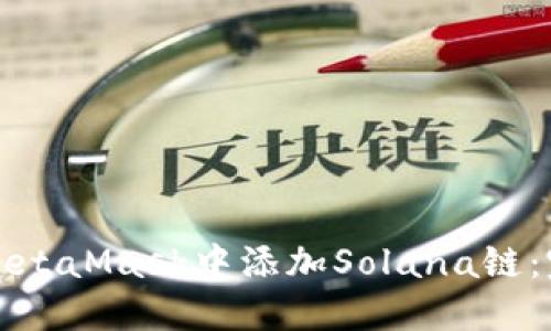如何在MetaMask中添加Solana链：完整指南
