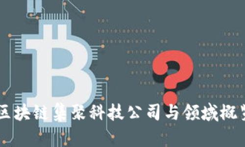 区块链集聚科技公司与领域概览