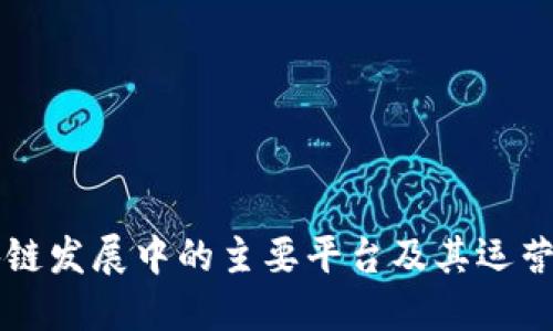 区块链发展中的主要平台及其运营模式