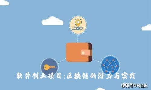 软件创业项目：区块链的潜力与实践