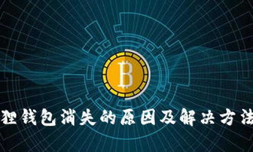 小狐狸钱包消失的原因及解决方法解析