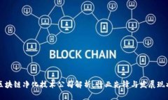 区块链净化技术公司解析