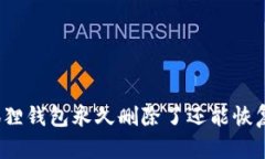 小狐狸钱包永久删除了还