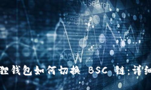 小狐狸钱包如何切换 BSC 链：详细教程