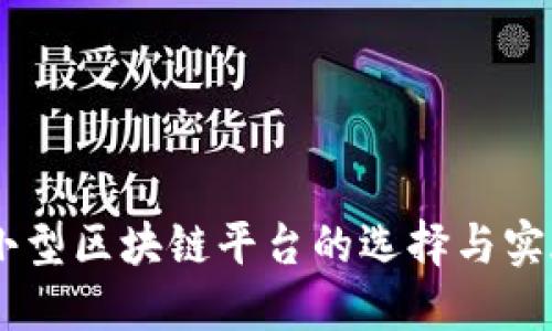 自建小型区块链平台的选择与实施指南