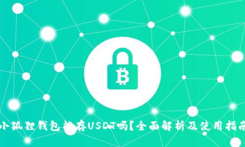 小狐狸钱包能存USDT吗？全面解析及使用指南