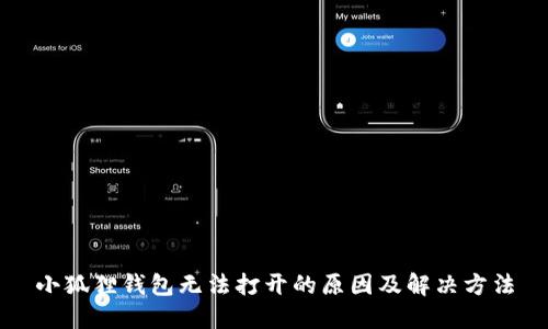 小狐狸钱包无法打开的原因及解决方法