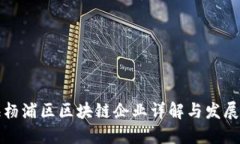 上海杨浦区区块链企业详