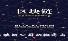 中心化区块链公司的概述