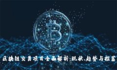 区块链交易项目全面解析