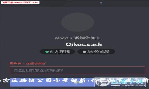 深圳加密区块链公司全景解析：行业领军者与前景展望