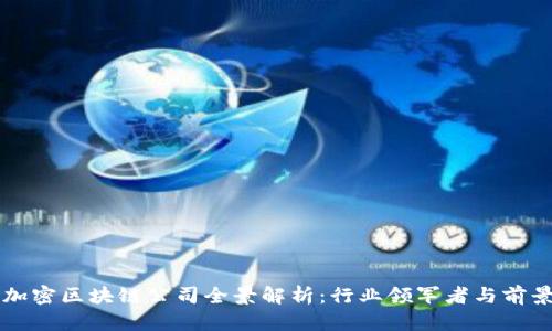 深圳加密区块链公司全景解析：行业领军者与前景展望