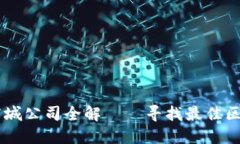 阳朔区块链商城公司全解