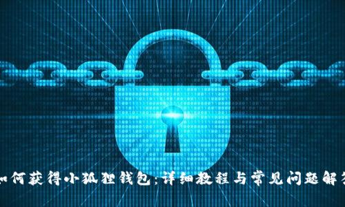 如何获得小狐狸钱包：详细教程与常见问题解答