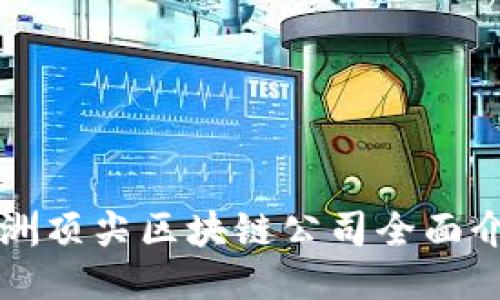 澳洲顶尖区块链公司全面介绍