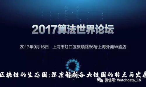 区块链的生态圈：深度解析各大链圈的特点与发展