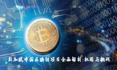 新加坡中国区块链项目全面解析：机遇与挑战