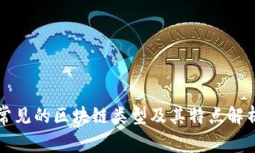 常见的区块链类型及其特点解析