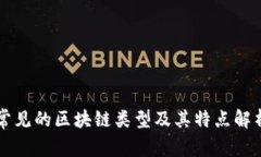 常见的区块链类型及其特点解析