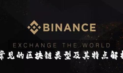 常见的区块链类型及其特点解析