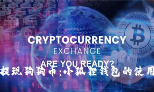 轻松提现狗狗币：小狐狸钱包的使用指南