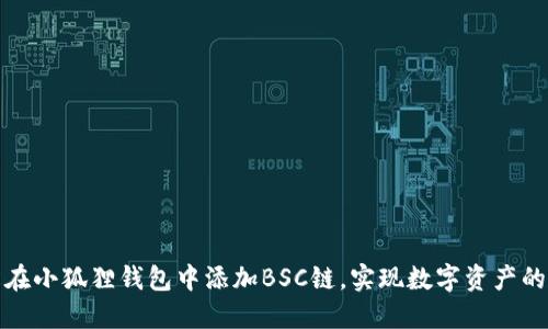 如何轻松在小狐狸钱包中添加BSC链，实现数字资产的无缝管理