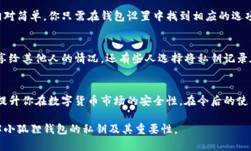 小狐狸钱包私钥是啥？揭秘数字货币安全的关键所在

小狐狸钱包, 私钥, 数字货币, 安全, 区块链/guanjianci

什么是小狐狸钱包？
小狐狸钱包，顾名思义，是一款用户友好的数字钱包，专门用于管理和存储以太坊及其代币。这个钱包不仅简单易用，而且因为它的浏览器扩展和手机应用功能，越来越多的用户愿意选择它来处理数字资产。随着区块链技术的发展，越来越多人开始关注如何安全地存储和管理自己的加密资产，而小狐狸钱包正好满足了这样的需求。

私钥的重要性
在谈论小狐狸钱包的私钥之前，我们必须先了解私钥的概念。私钥是一串随机生成的字符，用于证明你对一笔数字资产的所有权。可以这么说，私钥是你在区块链上的身份象征。简单来说，没有私钥，你就无法访问或管理你的资产。因此，保护好私钥，是每位数字货币投资者的首要任务。

小狐狸钱包的私钥是什么样的？
如果你在使用小狐狸钱包，你的私钥是由一组高强度的随机字符组成的。具体来说，小狐狸钱包利用了强大的加密算法来生成和保护这些私钥。一旦你创建了新的钱包，你的私钥就会被生成并存储在你的设备上。而每个钱包仅对应一个独特的私钥，这也是为什么任何人都绝不能向他人透露自己的私钥。

私钥的管理和保护
关于私钥，有几个关键点需要牢牢记住。首先，不要在不安全的地方保存私钥，比如记事本、电子邮件或云存储服务。相反，可以考虑使用硬件钱包，或者在纸上写下私钥，并妥当地保存。其次，将私钥分为多个部分保存也是一种流行的策略，这样即使其中一部分被泄露，完整的私钥依然不会被破解。

私钥和助记词的区别
在小狐狸钱包中，除了私钥，你还会接触到一个叫做助记词的概念。助记词是一组短语，通常是12或24个单词，用于帮助用户恢复他们的钱包。虽然助记词和私钥都能用来获得对钱包的访问，但助记词比私钥更易于记忆。但无论是私钥还是助记词，保护好它们都是极其重要的。

如何导入和导出私钥
如果你需要将小狐狸钱包中的资产迁移到另一个钱包，或者你想更换设备，导入和导出私钥的功能就派上用场了。在小狐狸钱包中，导出私钥相对简单，你只需在钱包设置中找到相应的选项。然而，请务必在安全的环境中进行此操作，以防止私钥被窃取。

常见的私钥安全错误
在管理私钥的过程中，有几个常见的错误可能会导致资产安全受到威胁。比如，有些用户会选择将私钥以电子方式保存，而不加密，甚至存在共享给其他人的情况。还有些人选择将私钥记录在不安全的地方，像是手机备忘录上，这些行为都极其危险。

总结与展望
综上所述，小狐狸钱包的私钥是确保你数字资产安全的关键。无论你是新手还是资深玩家，了解私钥的性质、管理方式以及保护措施，将极大地提升你在数字货币市场的安全性。在今后的使用中，希望每位小狐狸钱包的用户都能认真对待自己的私钥，确保资产的安全与完整。

在数字货币的世界里，安全性永远是第一位的。记得在操作中时刻保持警惕，把私钥视作自己最重要的财富。希望这篇文章能帮助你更深入理解小狐狸钱包的私钥及其重要性。