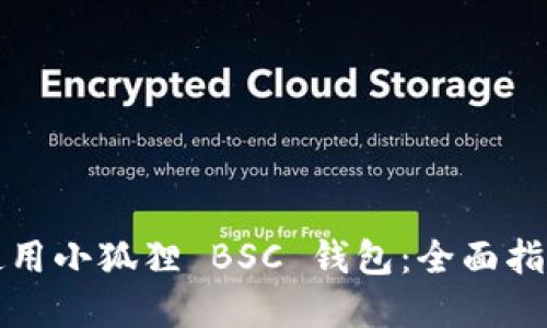 如何安全地使用小狐狸 BSC 钱包：全面指南与实用技巧