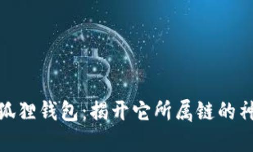 探索小狐狸钱包：揭开它所属链的神秘面纱