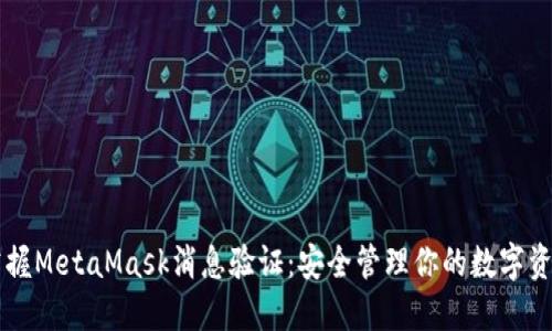 掌握MetaMask消息验证：安全管理你的数字资产